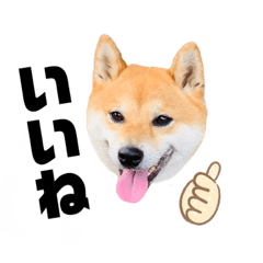 [LINEスタンプ] うちの鼻黒わんこのお友達4