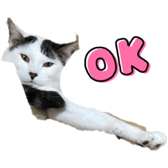 [LINEスタンプ] とらななスタンプ