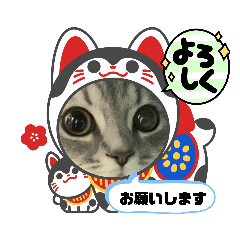 [LINEスタンプ] マンチカン子猫2