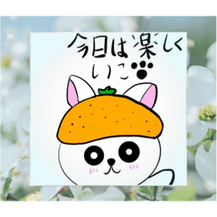 [LINEスタンプ] みかんネコ❓