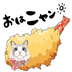 [LINEスタンプ] 猫エビフライと猫海老のおしゃべり