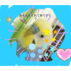 [LINEスタンプ] キューちゃんだいすき