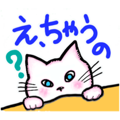 [LINEスタンプ] Kinki catsー大阪弁