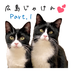 [LINEスタンプ] ネコリパブリック広島｜広島弁ver.1