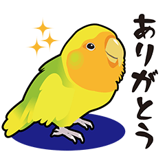 [LINEスタンプ] 普段使いコザクラインコうめちゃんスタンプ