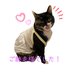 [LINEスタンプ] あずきちゃんとあんずちゃんのスタンプ