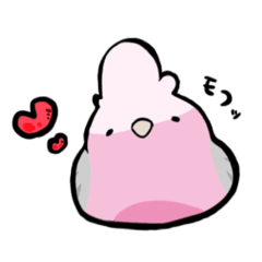 [LINEスタンプ] 可愛い♡モモイロインコ