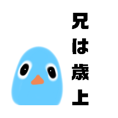 [LINEスタンプ] あたりまえのことをいうトリ