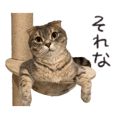 [LINEスタンプ] りおこは