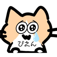 [LINEスタンプ] ︎︎日常猫