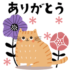 [LINEスタンプ] ゆるねこ♡日常スタンプ