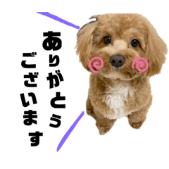 [LINEスタンプ] 我が家のちくわ②