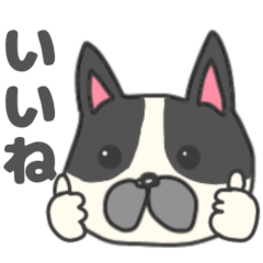 [LINEスタンプ] フレンチブルドッグ★フレブル犬