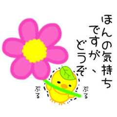 [LINEスタンプ] 毎日。かわいい。ぴよぽこ。