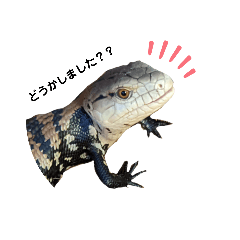 [LINEスタンプ] アオジタくん と アカアシ さん