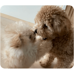 [LINEスタンプ] さんほぬ