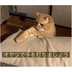 [LINEスタンプ] kisukes(字幕)