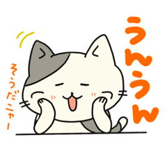 [LINEスタンプ] ねこねこ毎日スタンプPart.2