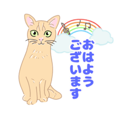 [LINEスタンプ] 色んな猫たちの日常会話