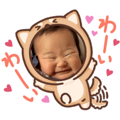 [LINEスタンプ] kato.familyの画像（メイン）