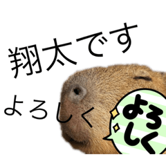 [LINEスタンプ] ネガティブ翔ちゃん