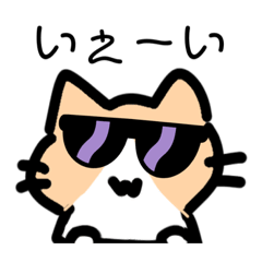 [LINEスタンプ] ︎︎日常猫 Ver3