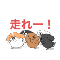 [LINEスタンプ] 百面相ペキニーズ +α