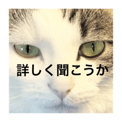 [LINEスタンプ] ちゃんと使えるちくわスタンプ