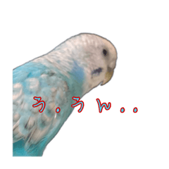 [LINEスタンプ] インコ「ルル」4