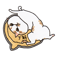 [LINEスタンプ] 茶トラ白ねこスタンプ