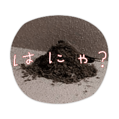 [LINEスタンプ] 可愛い鳥の家
