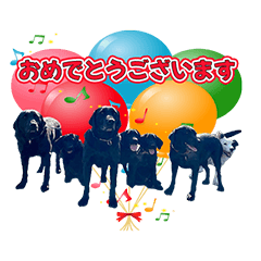 [LINEスタンプ] 犬の保育園【ドッグハウスベリー】