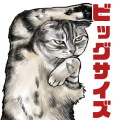 [LINEスタンプ] 意外と使えるデッカい猫スタンプ＠デカ文字