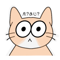 [LINEスタンプ] ︎︎日常猫オールスターズ