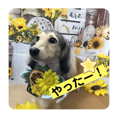 [LINEスタンプ] りん☆everyday3
