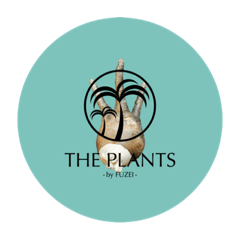 [LINEスタンプ] THE PLANTS -by FUZEI- 2