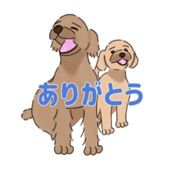 [LINEスタンプ] デコボコbrothers 日本語ver