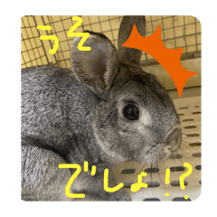 [LINEスタンプ] ぐースタンプ2