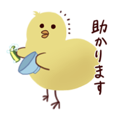 [LINEスタンプ] 敬語chick