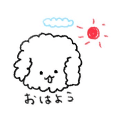 [LINEスタンプ] しろい、トイプードル