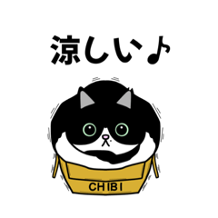 [LINEスタンプ] ハチワレちゃんスタンプ3