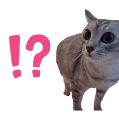 [LINEスタンプ] むぎたんゆきたん2