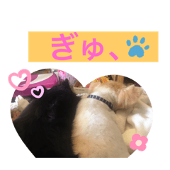 [LINEスタンプ] くーぺろこ2