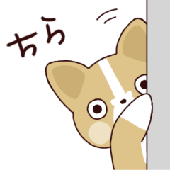 [LINEスタンプ] ほんわか動物達の日常スタンプ