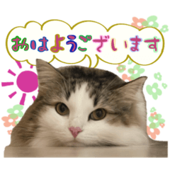 [LINEスタンプ] こうめさん20