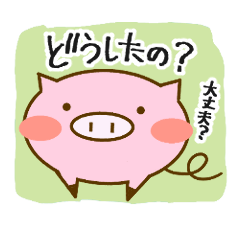 [LINEスタンプ] ミニブタの日常、気持ち