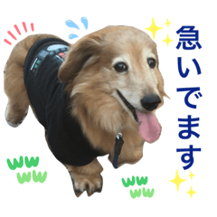 [LINEスタンプ] ラルクさんスタンプ6