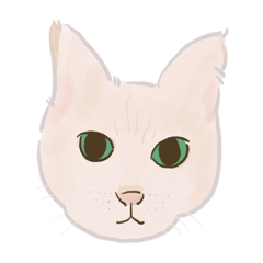 [LINEスタンプ] 可愛いめちゃ|| 猫 || Daily Life Emoji