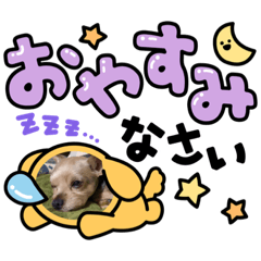 [LINEスタンプ] クロわんこ ロッキーさん