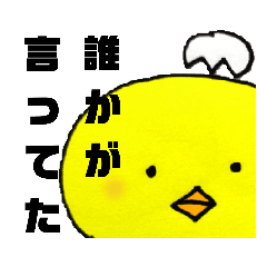 [LINEスタンプ] ピヨころ6『日常会話+励まし偏』